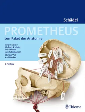 Lüthje / Schulte / Schünke | Prometheus Schädel, LernPaket der Anatomie - Mängelexemplar, kann leichte Gebrauchsspuren aufweisen. Sonderangebot ohne Rückgaberecht. Nur so lange der Vorrat reicht. | Medienkombination | 200-510600599-5 | sack.de