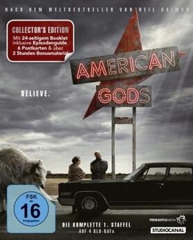 Fuller / Gaiman / Green |  American Gods | Sonstiges |  Sack Fachmedien