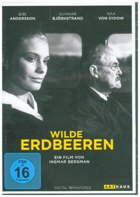 Bergman |  Wilde Erdbeeren | Sonstiges |  Sack Fachmedien