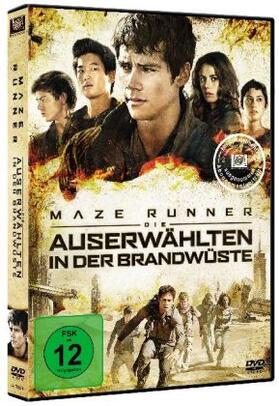 Nowlin |  Maze Runner - Die Auserwählten in der Brandwüste | Sonstiges |  Sack Fachmedien