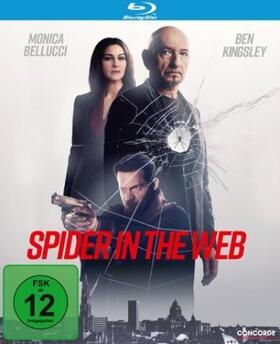 Maron / Naccache |  Spider in the Web | Sonstiges |  Sack Fachmedien