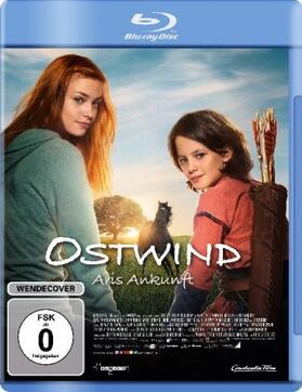 Schmidbauer | Ostwind - Aris Ankunft | Sonstiges | 401-197634368-4 | sack.de