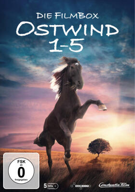 Ostwind 1-5 | Sonstiges | 401-197690768-8 | sack.de