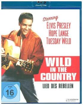 Odets / Salamanca |  Wild in the Country - Lied des Rebellen | Sonstiges |  Sack Fachmedien