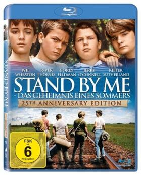 Gideon / Evans |  Stand by me - Das Geheimnis eines Sommers | Sonstiges |  Sack Fachmedien