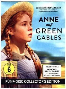 Montgomery / Sullivan / Wiesenfeld |  Anne auf Green Gables | Sonstiges |  Sack Fachmedien