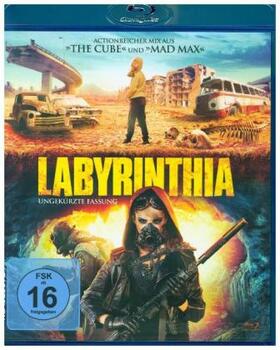 Steeds |  Labyrinthia | Sonstiges |  Sack Fachmedien