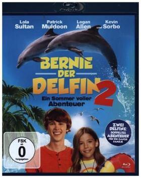 Emerson / Poole |  Bernie der Delfin 2 - Ein Sommer voller Abenteuer | Sonstiges |  Sack Fachmedien