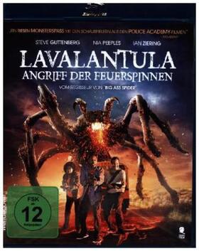 Elman / Oneil |  Lavalantula - Angriff der Feuerspinnen | Sonstiges |  Sack Fachmedien