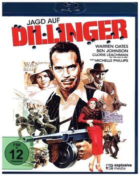 Milius |  Jagd auf Dillinger | Sonstiges |  Sack Fachmedien
