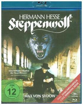 Hesse / Haines | Der Steppenwolf | Sonstiges | 404-256418479-2 | sack.de