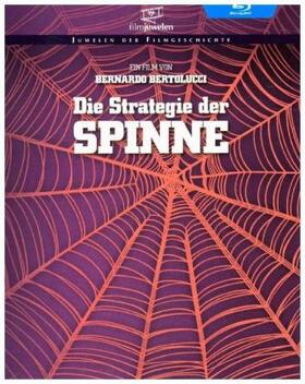 Borges / Bertolucci / Gregorio | Die Strategie der Spinne | Sonstiges | 404-256418742-7 | sack.de