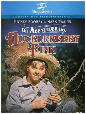 Butler / Salt / Twain |  Die Abenteuer des Huckleberry Finn | Sonstiges |  Sack Fachmedien