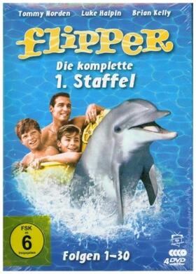  Flipper - Die komplette 1. Staffel (4 DVDs) | Sonstiges |  Sack Fachmedien