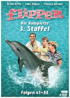  Flipper - Die komplette 3. Staffel (4 DVDs) | Sonstiges |  Sack Fachmedien
