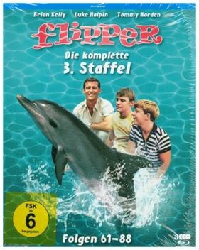 Little / Cowden / Browning |  Flipper | Sonstiges |  Sack Fachmedien