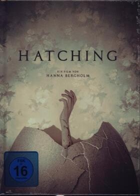 Bergholm / Rautsi |  Hatching | Sonstiges |  Sack Fachmedien