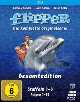 Little / Cowden / Browning |  Flipper | Sonstiges |  Sack Fachmedien