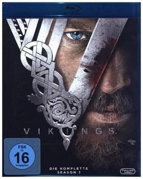 Hirst |  Vikings | Sonstiges |  Sack Fachmedien