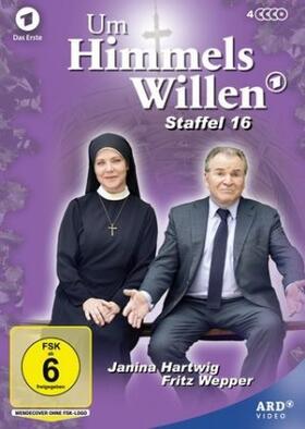 Baier |  Um Himmels Willen | Sonstiges |  Sack Fachmedien