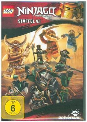 Hageman / Thomas |  LEGO Ninjago: Masters of Spinjitzu | Sonstiges |  Sack Fachmedien