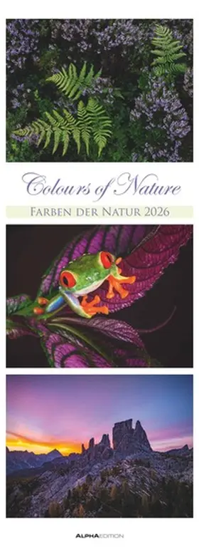  Colours of Nature - Triplets 2026 - Streifenkalender XXL 25x69 cm - Bildkalender im Hochformat - Naturkalender - Wandkalender - Wandplaner | Sonstiges |  Sack Fachmedien