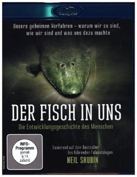  Der Fisch in uns - Die Entwicklungsgeschichte des Menschen | Sonstiges |  Sack Fachmedien