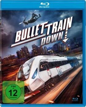 Heerman |  Bullet Train Down | Sonstiges |  Sack Fachmedien