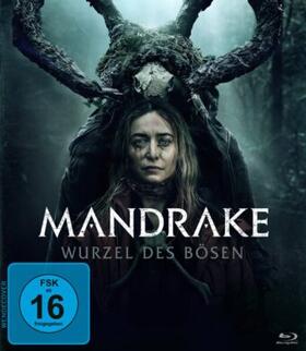 Harvey |  Mandrake - Wurzel des Bösen | Sonstiges |  Sack Fachmedien