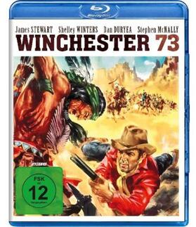 Richards / Chase / Lake |  Winchester 73 | Sonstiges |  Sack Fachmedien