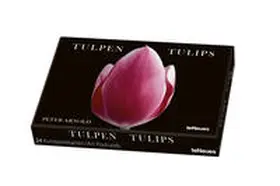 Arnold |  Tulpen, Kunstkartenbox | Sonstiges |  Sack Fachmedien