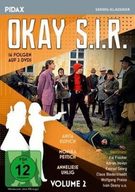  Okay S.I.R. - Vol. 2 | Sonstiges |  Sack Fachmedien