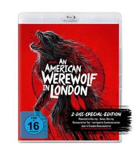 Landis |  An American Werewolf in London | Sonstiges |  Sack Fachmedien