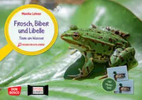 Lehner |  Frosch, Biber und Libelle. Tiere am Wasser. Kamishibai Bildkarten und Memo-Spiel | Sonstiges |  Sack Fachmedien