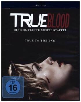 Ball / Harris / Woo | True Blood | Sonstiges | 505-189029675-7 | sack.de