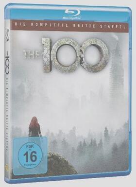 Rothenberg / Morgan / Shumway | The 100 | Sonstiges | 505-189030744-6 | sack.de