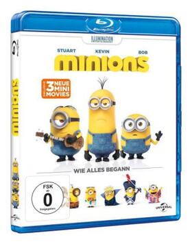 Lynch | Minions | Sonstiges | 505-308302638-7 | sack.de