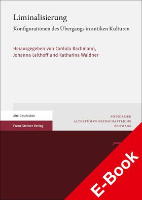 Bachmann / Leithoff / Waldner |  Liminalisierung | eBook | Sack Fachmedien