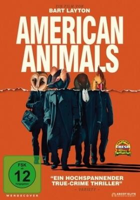 Layton | American Animals | Sonstiges | 761-305932633-0 | sack.de