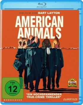 Layton |  American Animals | Sonstiges |  Sack Fachmedien