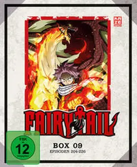 Ishihira / Mashima / Sogo |  Fairy Tail | Sonstiges |  Sack Fachmedien