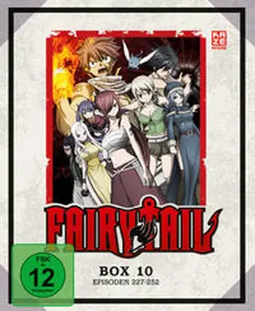 Ishihira / Mashima / Sogo |  Fairy Tail | Sonstiges |  Sack Fachmedien