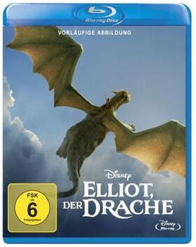 Field / Halbrooks / Lowery |  Elliot, der Drache | Sonstiges |  Sack Fachmedien