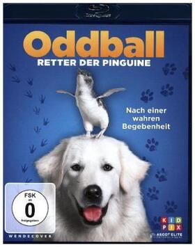 Ivan |  Oddball - Retter der Pinguine | Sonstiges |  Sack Fachmedien