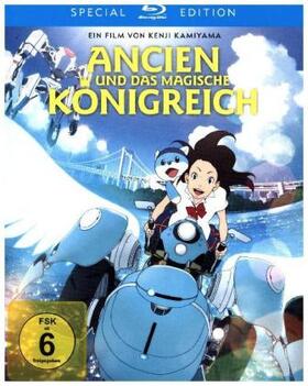 Kamiyama |  Ancien und das magische Königreich | Sonstiges |  Sack Fachmedien