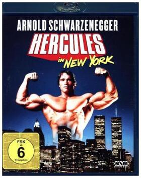 Wisberg |  Hercules in New York | Sonstiges |  Sack Fachmedien