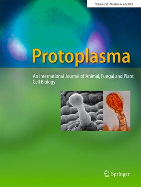  Protoplasma | Zeitschrift |  Sack Fachmedien
