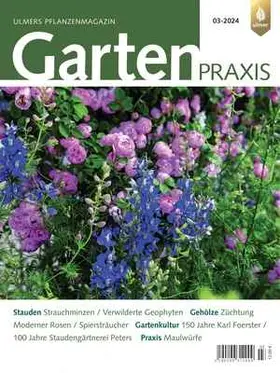  Gartenpraxis | Zeitschrift |  Sack Fachmedien