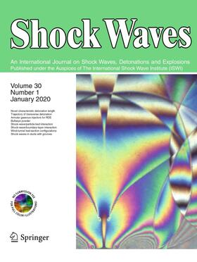  Shock Waves | Zeitschrift |  Sack Fachmedien