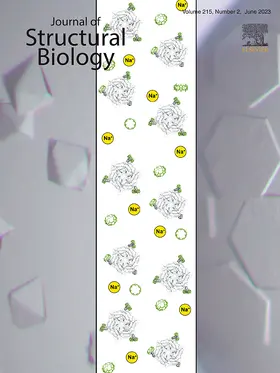  Journal of Structural Biology | Zeitschrift |  Sack Fachmedien